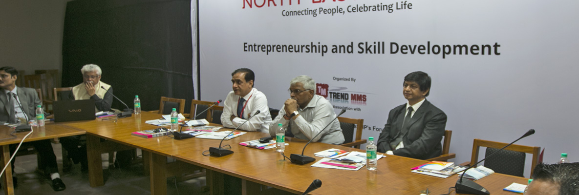 northeastfestival.com